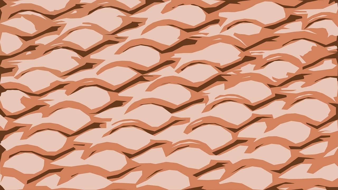 Use Semantic HTML to Help Search Engines Understand Your Content